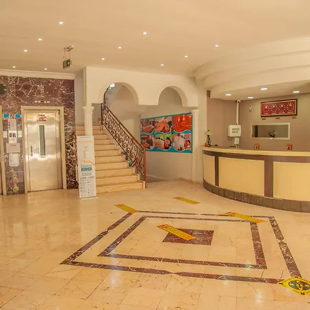 Grand Bahama אלאניה
